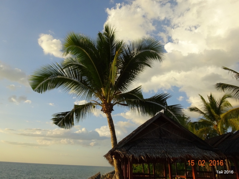 Као Лак февраль 2016