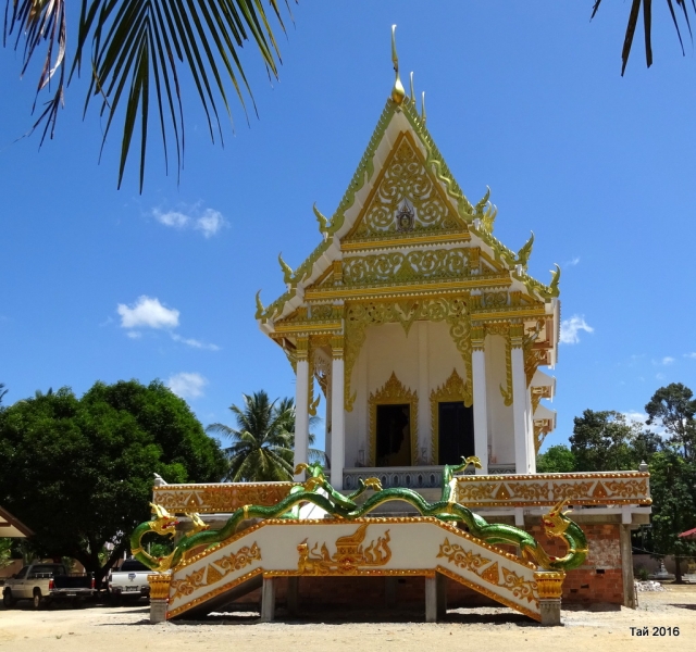 Као Лак февраль 2016