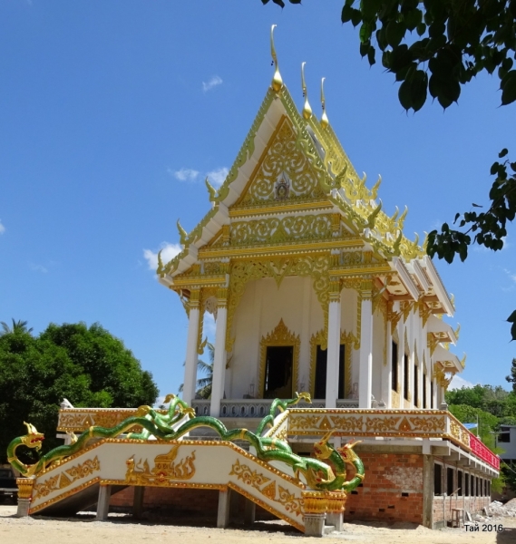 Као Лак февраль 2016