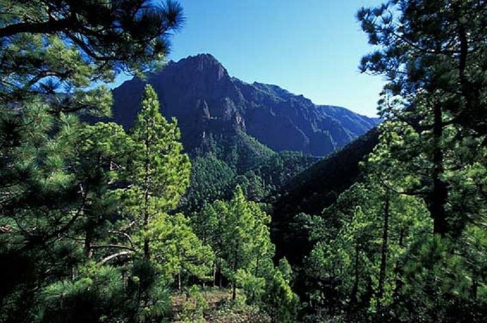 Собираемся в круиз AIDA Sol на Канарские острова 24.04.16