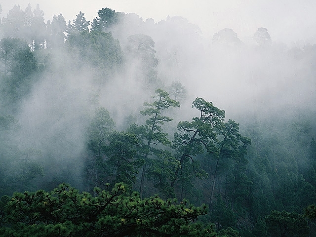 Собираемся в круиз AIDA Sol на Канарские острова 24.04.16