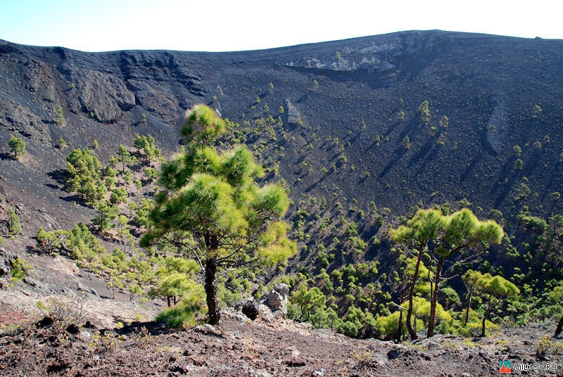 Собираемся в круиз AIDA Sol на Канарские острова 24.04.16