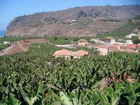 Собираемся в круиз AIDA Sol на Канарские острова 24.04.16