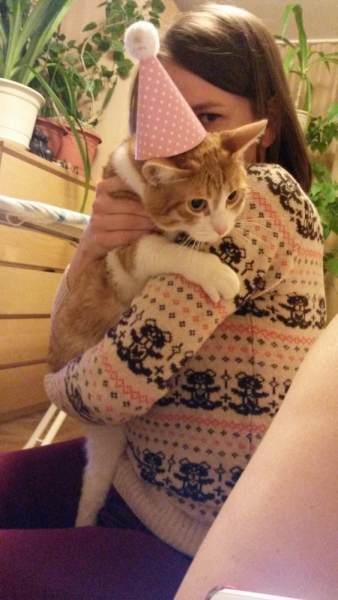 Поговорим о кошках38