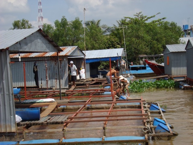 Хошимин-Кучи-Фукуок 2011г.