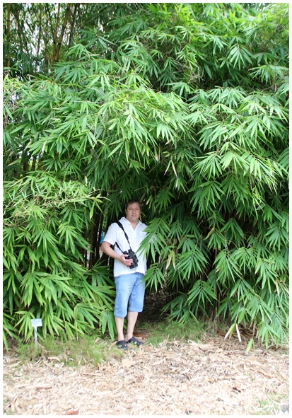 Двенадцать дней осени в городе вечного лета