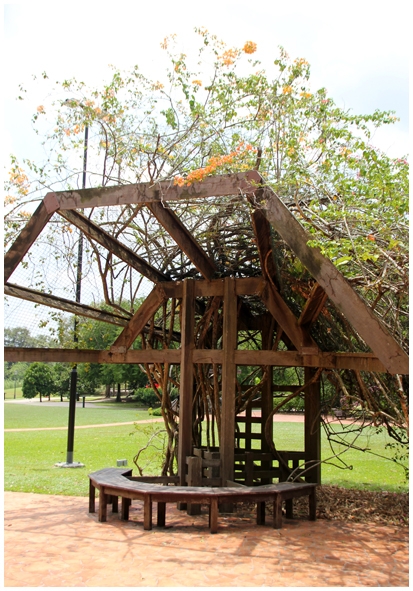 Двенадцать дней осени в городе вечного лета