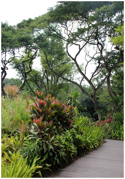 Двенадцать дней осени в городе вечного лета