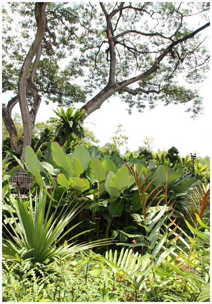 Двенадцать дней осени в городе вечного лета