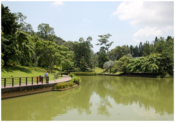 Двенадцать дней осени в городе вечного лета