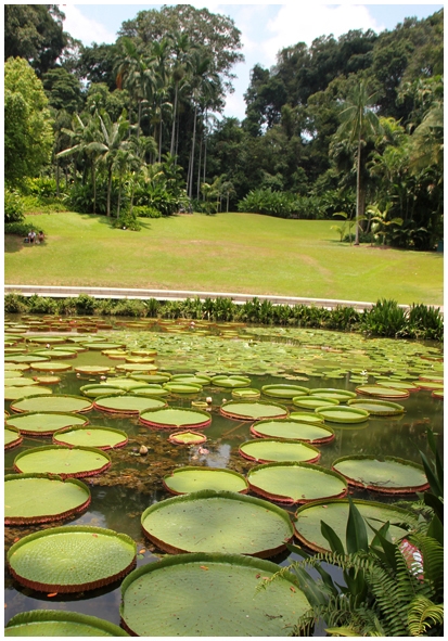 Двенадцать дней осени в городе вечного лета