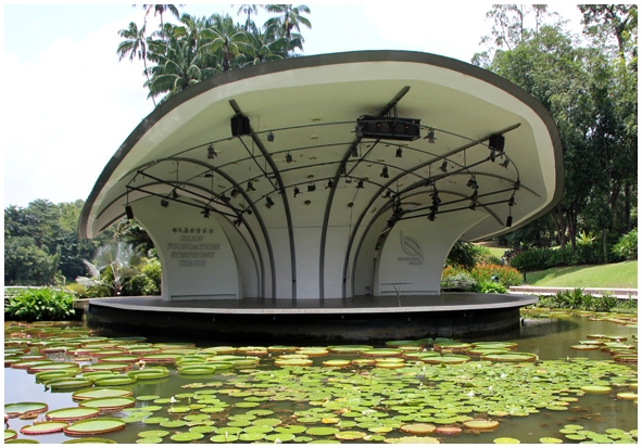 Двенадцать дней осени в городе вечного лета
