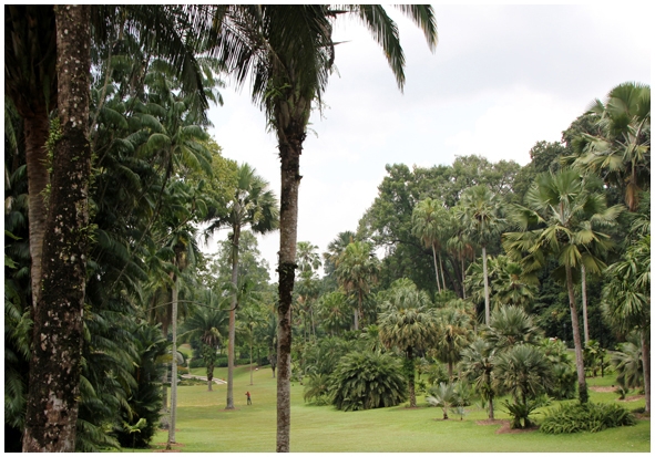 Двенадцать дней осени в городе вечного лета