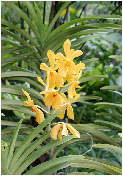 Двенадцать дней осени в городе вечного лета