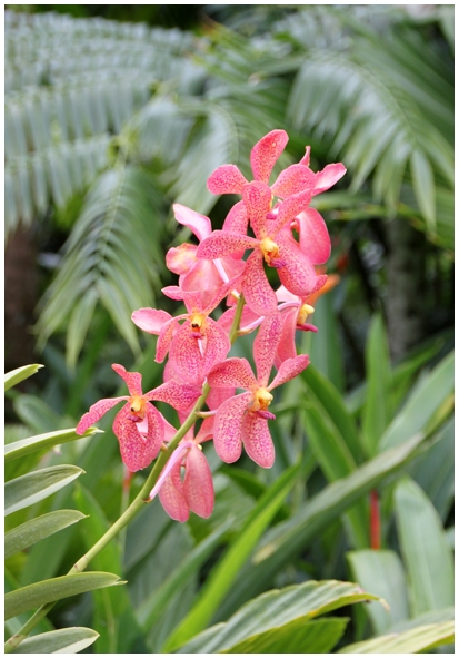 Двенадцать дней осени в городе вечного лета