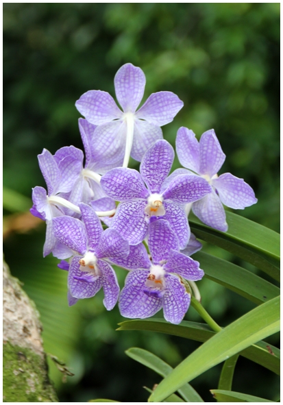 Двенадцать дней осени в городе вечного лета