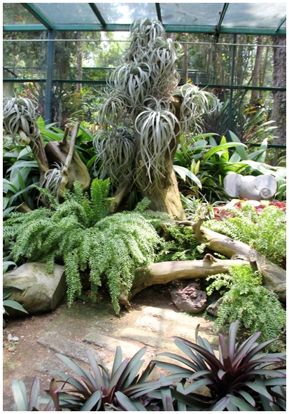 Двенадцать дней осени в городе вечного лета