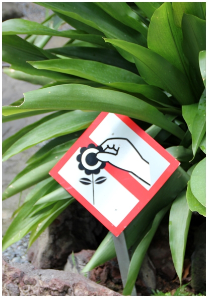 Двенадцать дней осени в городе вечного лета