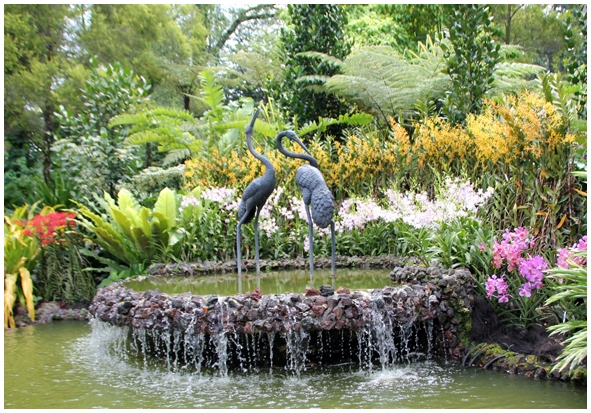 Двенадцать дней осени в городе вечного лета