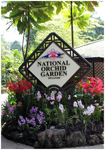 Двенадцать дней осени в городе вечного лета