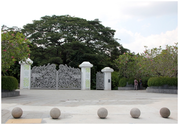 Двенадцать дней осени в городе вечного лета