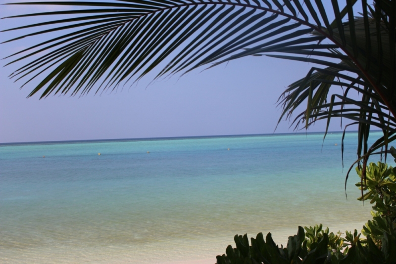 Медовый месяц в Holiday Cottage, Thoddoo Island Медовый месяц в Holiday Cottage, Thoddoo Island