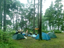 котдазур 391.jpg