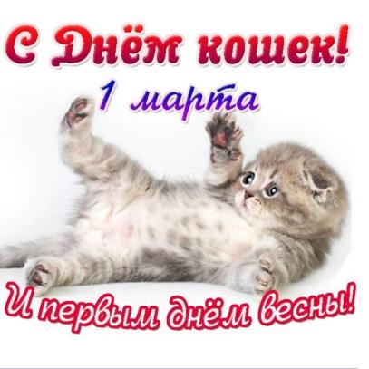 Поговорим о кошках38