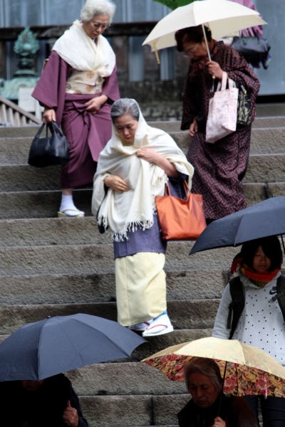 Момидзи 2015. Tokyo-Nikko-Hakone-Osaka-Kyoto-Nara-Himeji-Okayama-Kurashiki-Koyasan-Tokyo