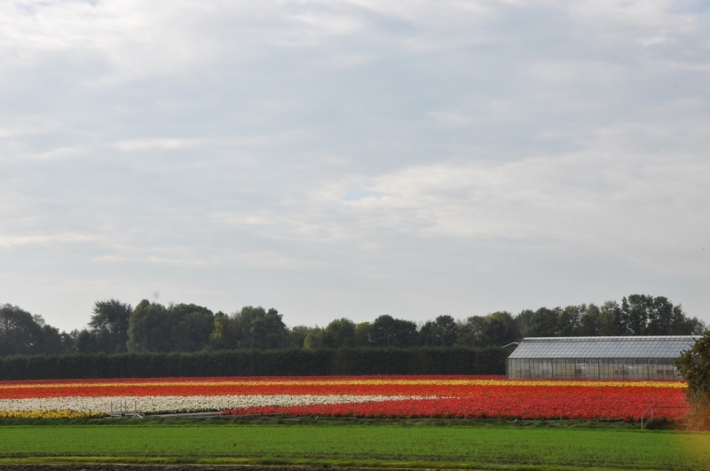 31.07-07.08 Франкфурт-Амстердам. Подскажите что посмотреть.