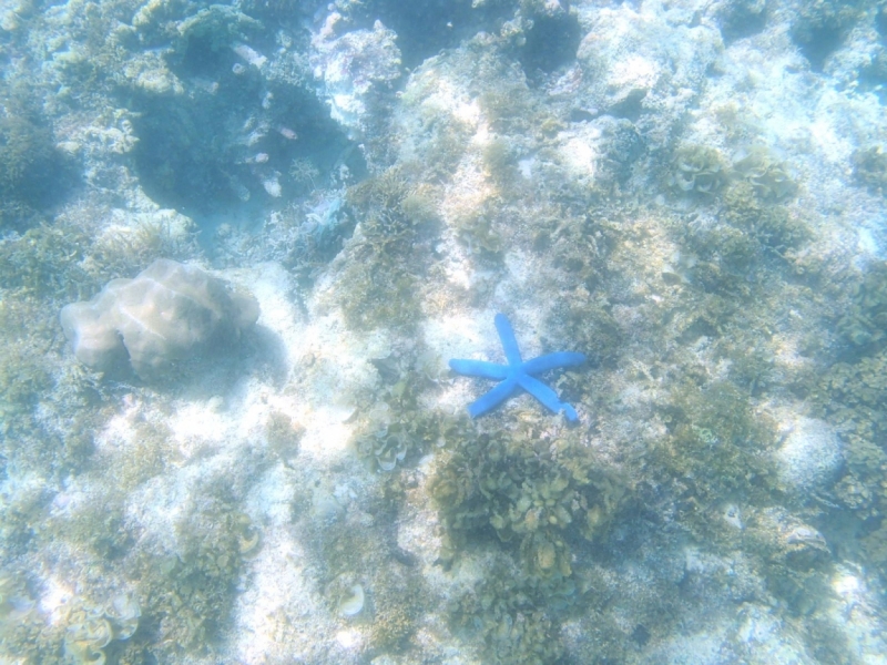 Сosta Victoria, ЮВА, январь 2016: коллективное творчество