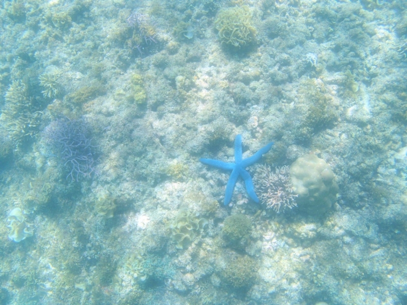 Сosta Victoria, ЮВА, январь 2016: коллективное творчество