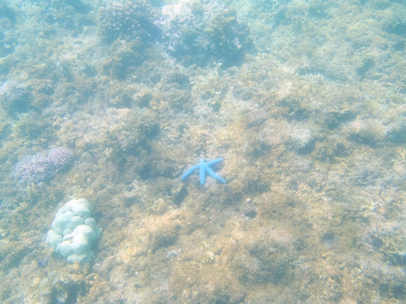 Сosta Victoria, ЮВА, январь 2016: коллективное творчество