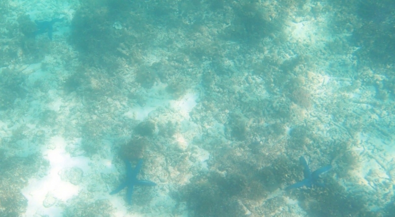 Сosta Victoria, ЮВА, январь 2016: коллективное творчество