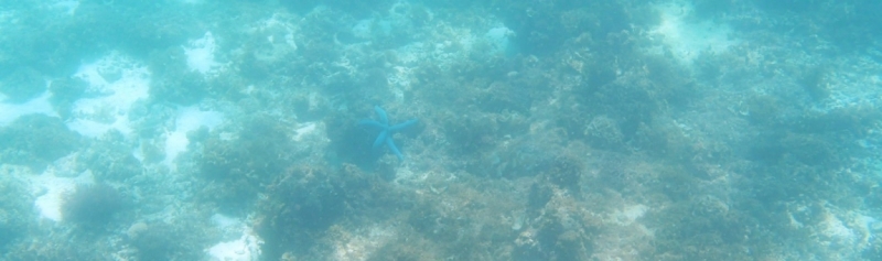 Сosta Victoria, ЮВА, январь 2016: коллективное творчество