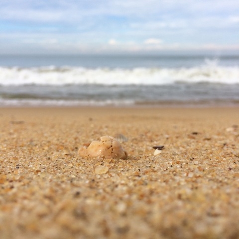 Шри-Ланка - на встречу настоящим приключениям!!!