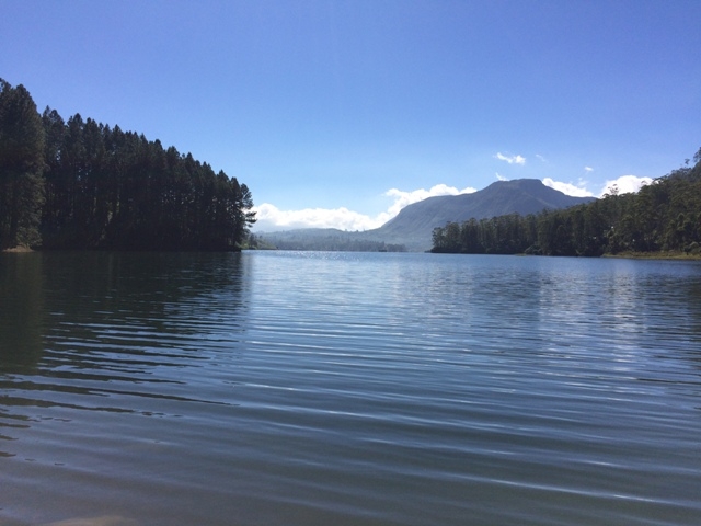 Шри-Ланка - на встречу настоящим приключениям!!!