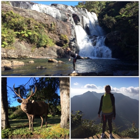 Шри-Ланка - на встречу настоящим приключениям!!!