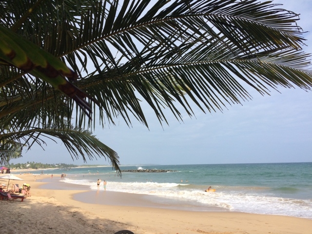 Шри-Ланка - на встречу настоящим приключениям!!!