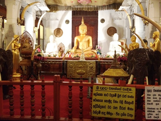 Шри-Ланка - на встречу настоящим приключениям!!!