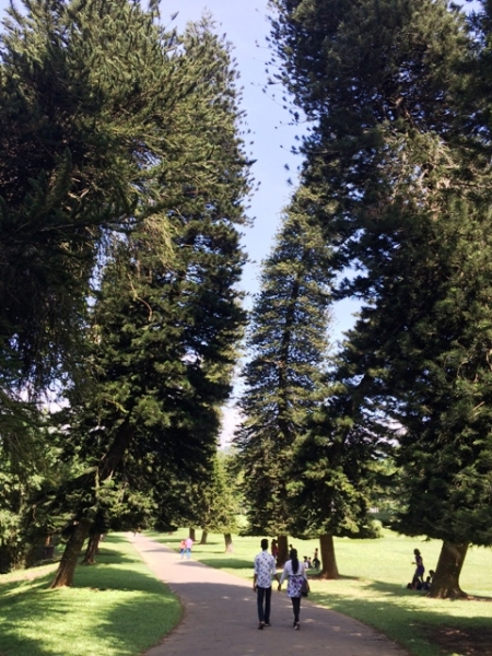 Шри-Ланка - на встречу настоящим приключениям!!!