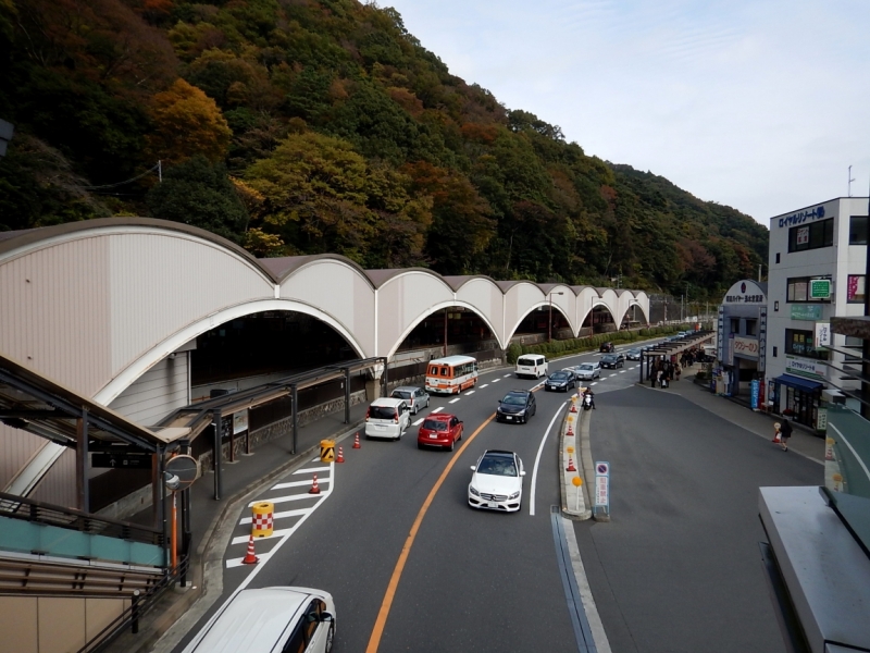 Момидзи 2015. Tokyo-Nikko-Hakone-Osaka-Kyoto-Nara-Himeji-Okayama-Kurashiki-Koyasan-Tokyo