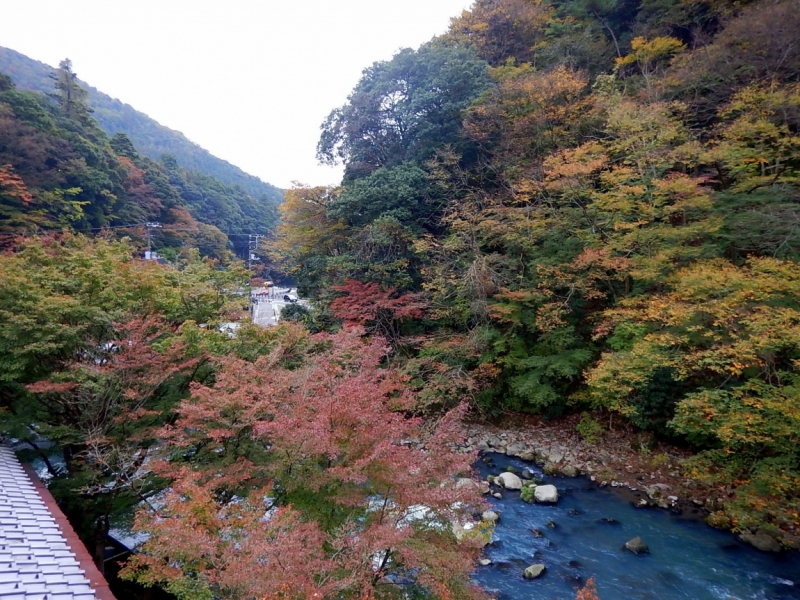 Момидзи 2015. Tokyo-Nikko-Hakone-Osaka-Kyoto-Nara-Himeji-Okayama-Kurashiki-Koyasan-Tokyo