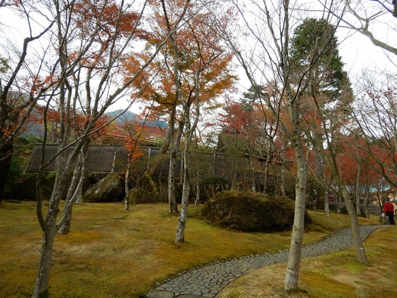 Момидзи 2015. Tokyo-Nikko-Hakone-Osaka-Kyoto-Nara-Himeji-Okayama-Kurashiki-Koyasan-Tokyo