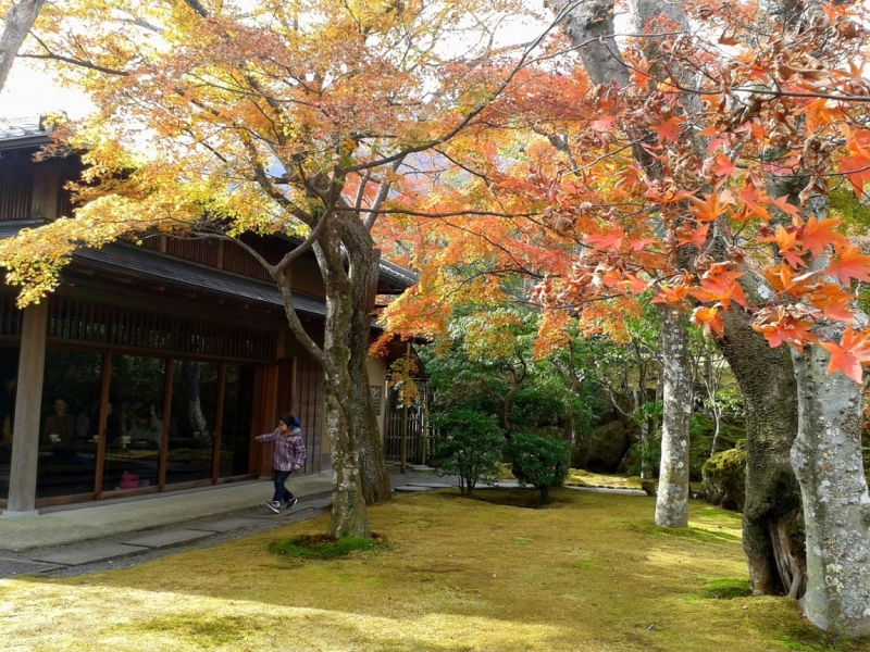 Момидзи 2015. Tokyo-Nikko-Hakone-Osaka-Kyoto-Nara-Himeji-Okayama-Kurashiki-Koyasan-Tokyo