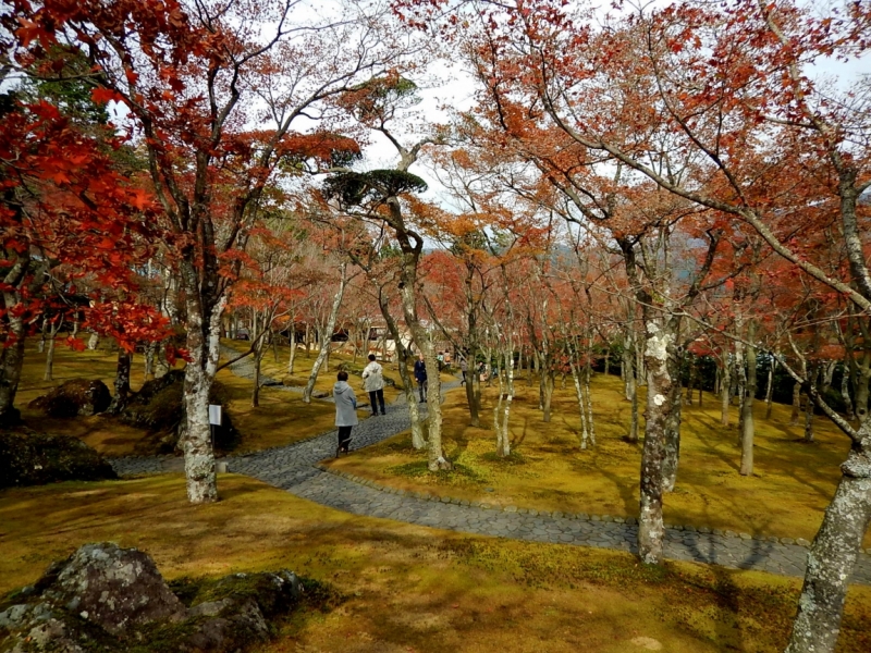 Момидзи 2015. Tokyo-Nikko-Hakone-Osaka-Kyoto-Nara-Himeji-Okayama-Kurashiki-Koyasan-Tokyo