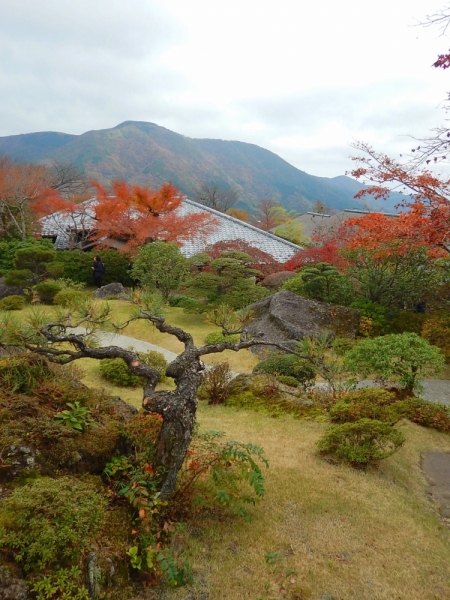 Момидзи 2015. Tokyo-Nikko-Hakone-Osaka-Kyoto-Nara-Himeji-Okayama-Kurashiki-Koyasan-Tokyo