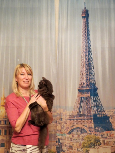 Поговорим о кошках38