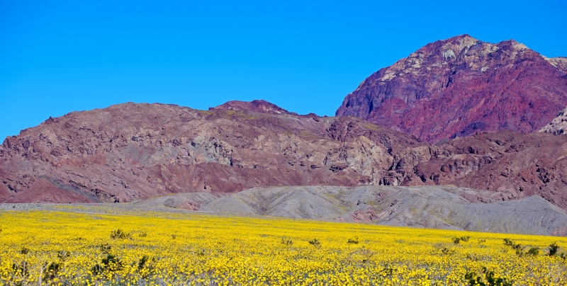 Пять вечеров и пять "утров". Eastern Sierra California.