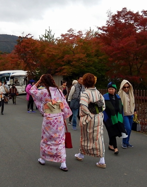 Момидзи 2015. Tokyo-Nikko-Hakone-Osaka-Kyoto-Nara-Himeji-Okayama-Kurashiki-Koyasan-Tokyo